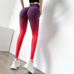 Ode To Ombre Leggings